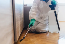 Chemical Treatments for Bedbugs: Are They Safe?