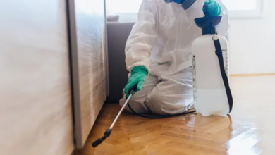 Chemical Treatments for Bedbugs: Are They Safe?