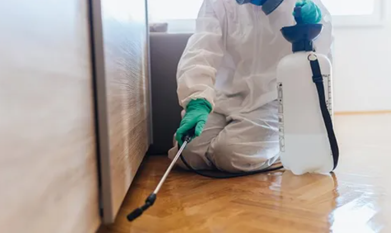 Chemical Treatments for Bedbugs: Are They Safe?