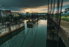 dynamic progress model analysis