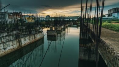 dynamic progress model analysis