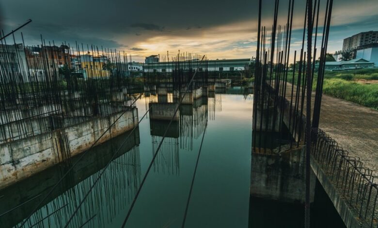 dynamic progress model analysis