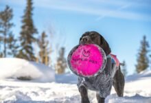 hyper fusion node 931222126