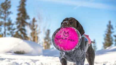 hyper fusion node 931222126